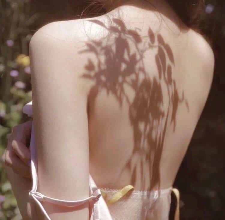 绝命毒师：化学老师的暗黑人生