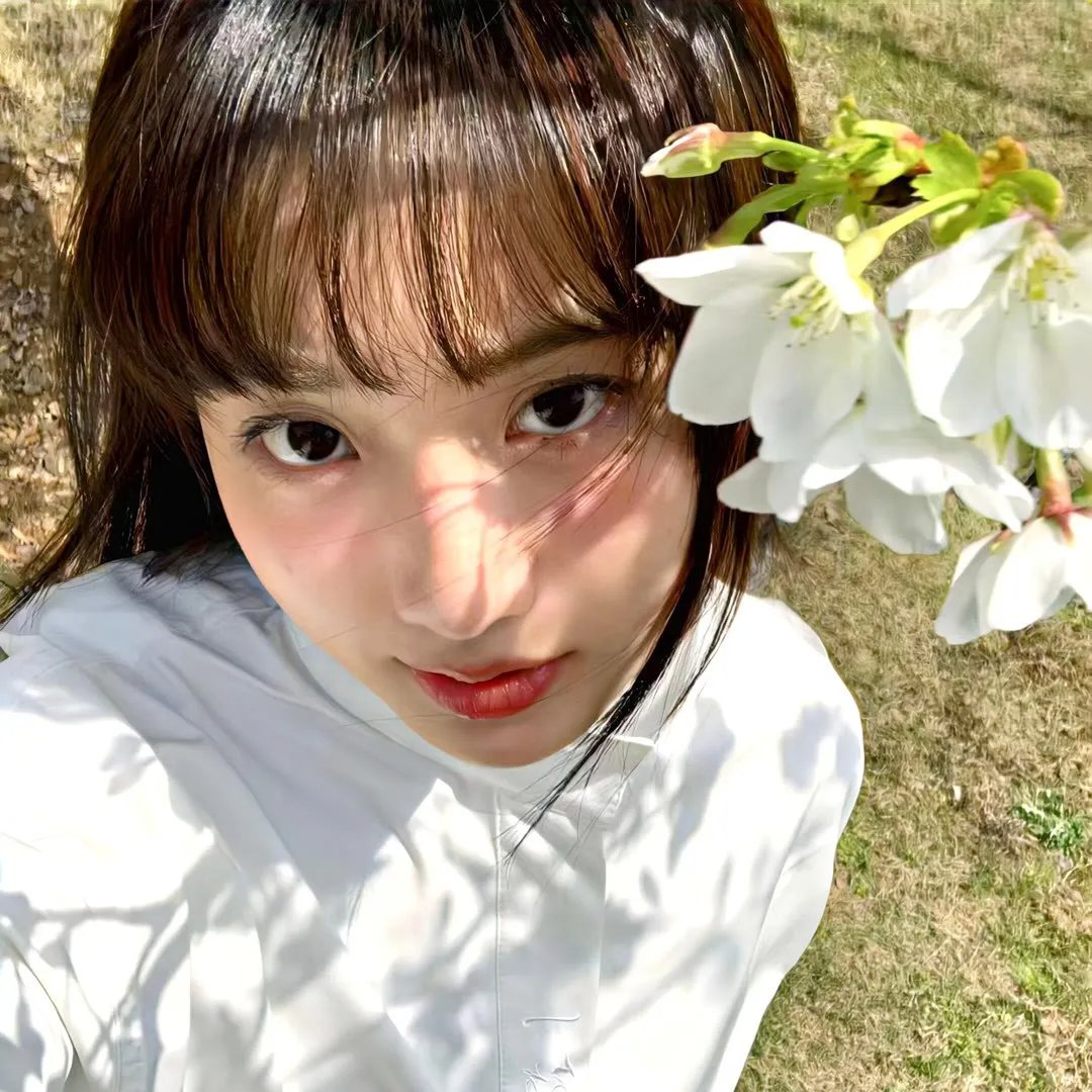 开局一座山2